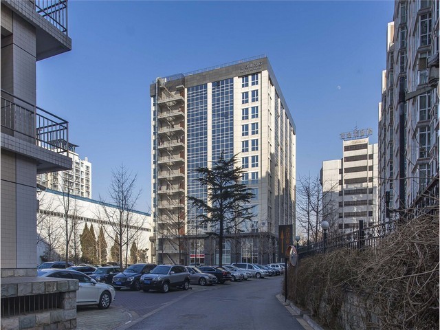 广州饵料马铃薯全粉颗粒粉